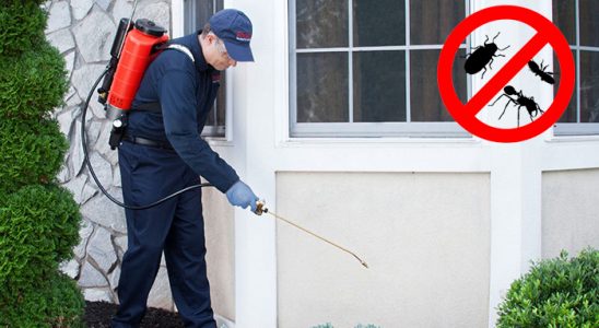 Hayrat Kemirgen İlaçlama böcek ilaçlama ve haşere kontrolü — ilaclama-tr.com